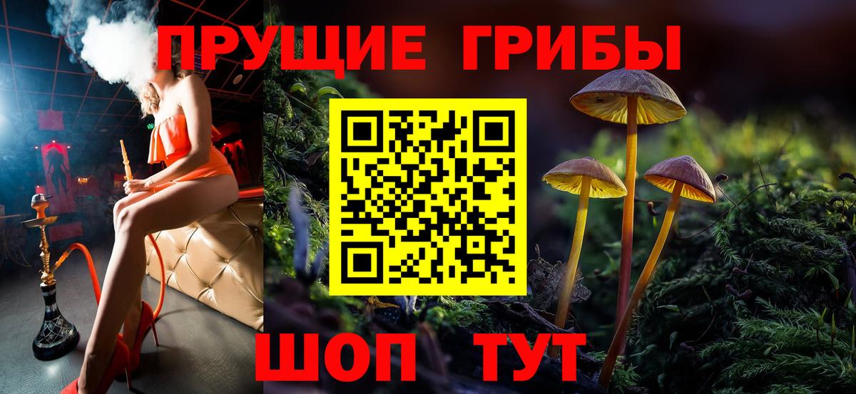 Галлюциногенные грибы ЛСД Павлово